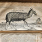 1677 SIX VOYAGES OF JOHN BAPTISTA TAVERNIER antique FOLIO ILLUSTRATED