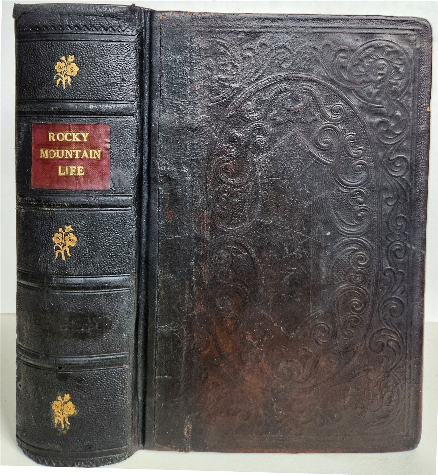 1856 PRAIRIES & ROCKY MONTAIN LIFE CALIFORNIA & OREGON TRAIL antique ILLUSTRATED