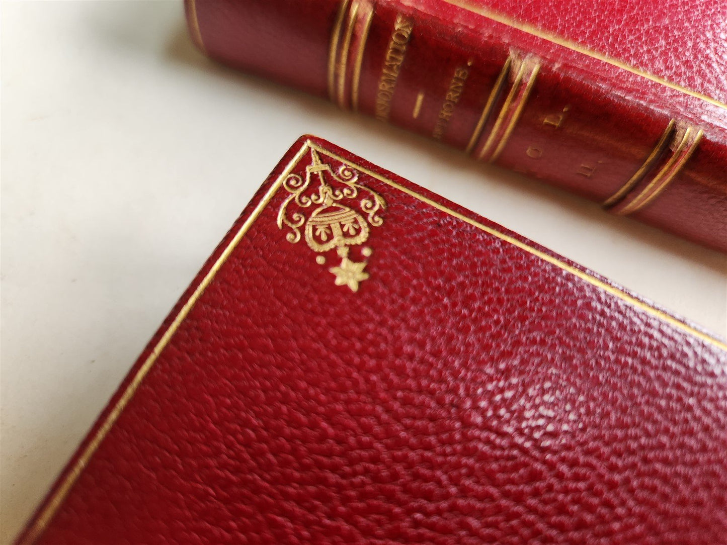 1860 TRANSFORMATION ROMANCE of MONTE BENI 2 VOLS antique PHOTO ILLUSTRATED