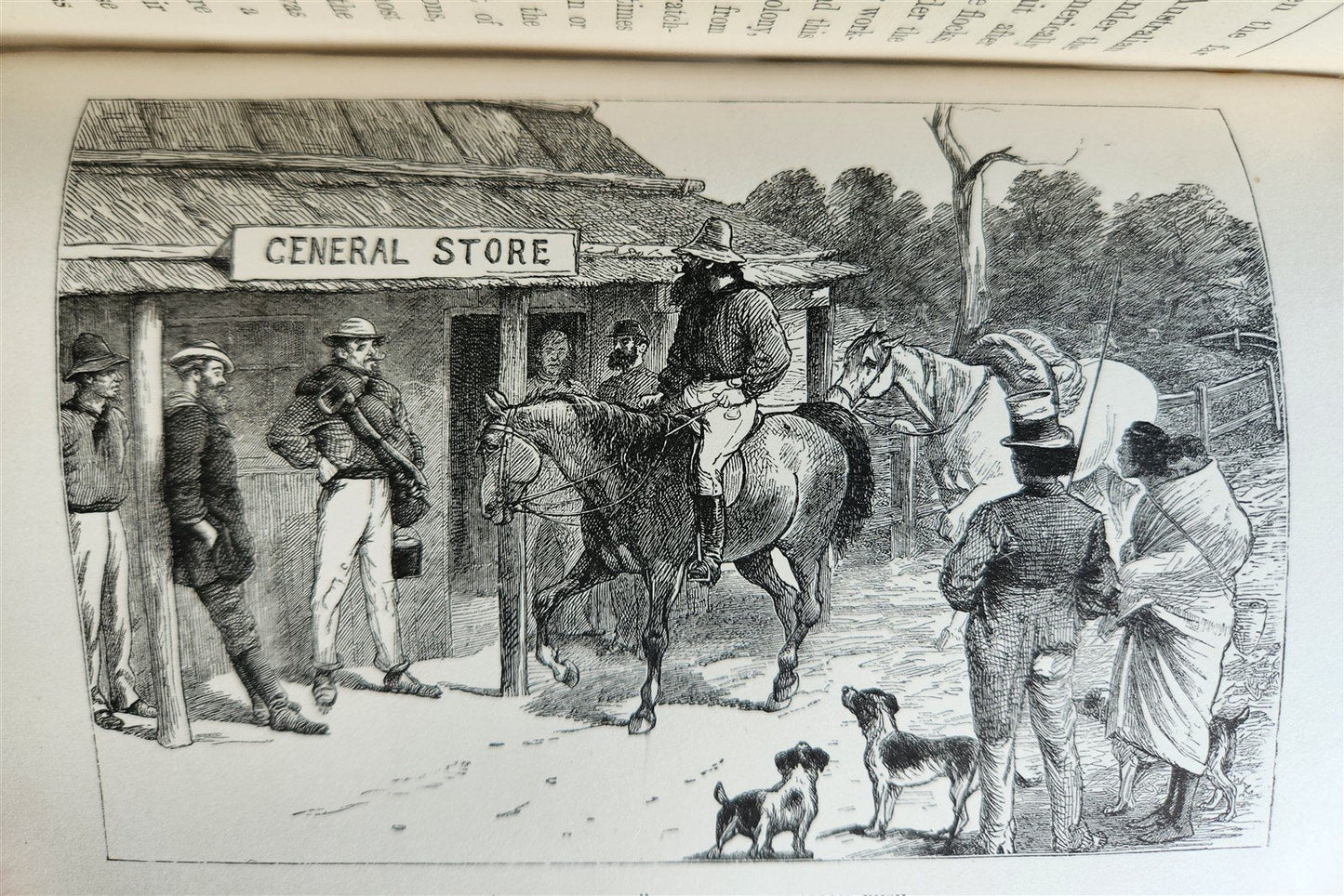 1884 AUSTRALIA THE COUNTRY & ITS INHABITANTS antique ILLUSTRATED