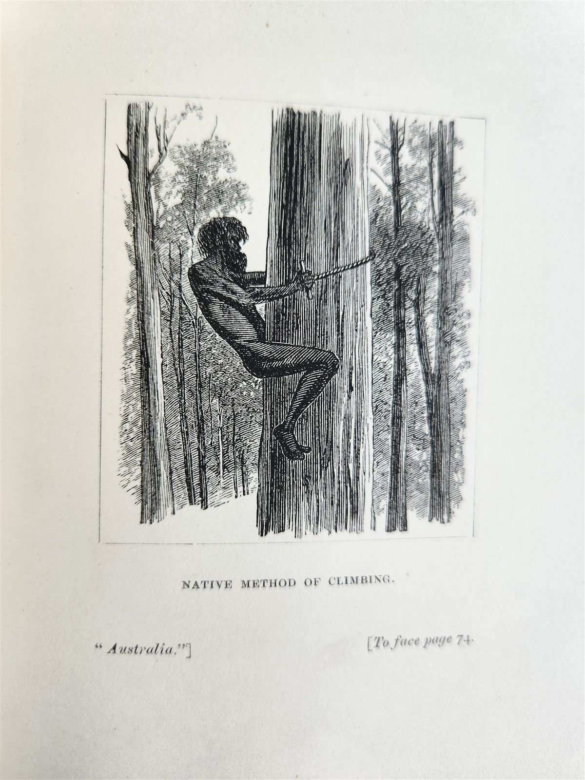 1884 AUSTRALIA THE COUNTRY & ITS INHABITANTS antique ILLUSTRATED