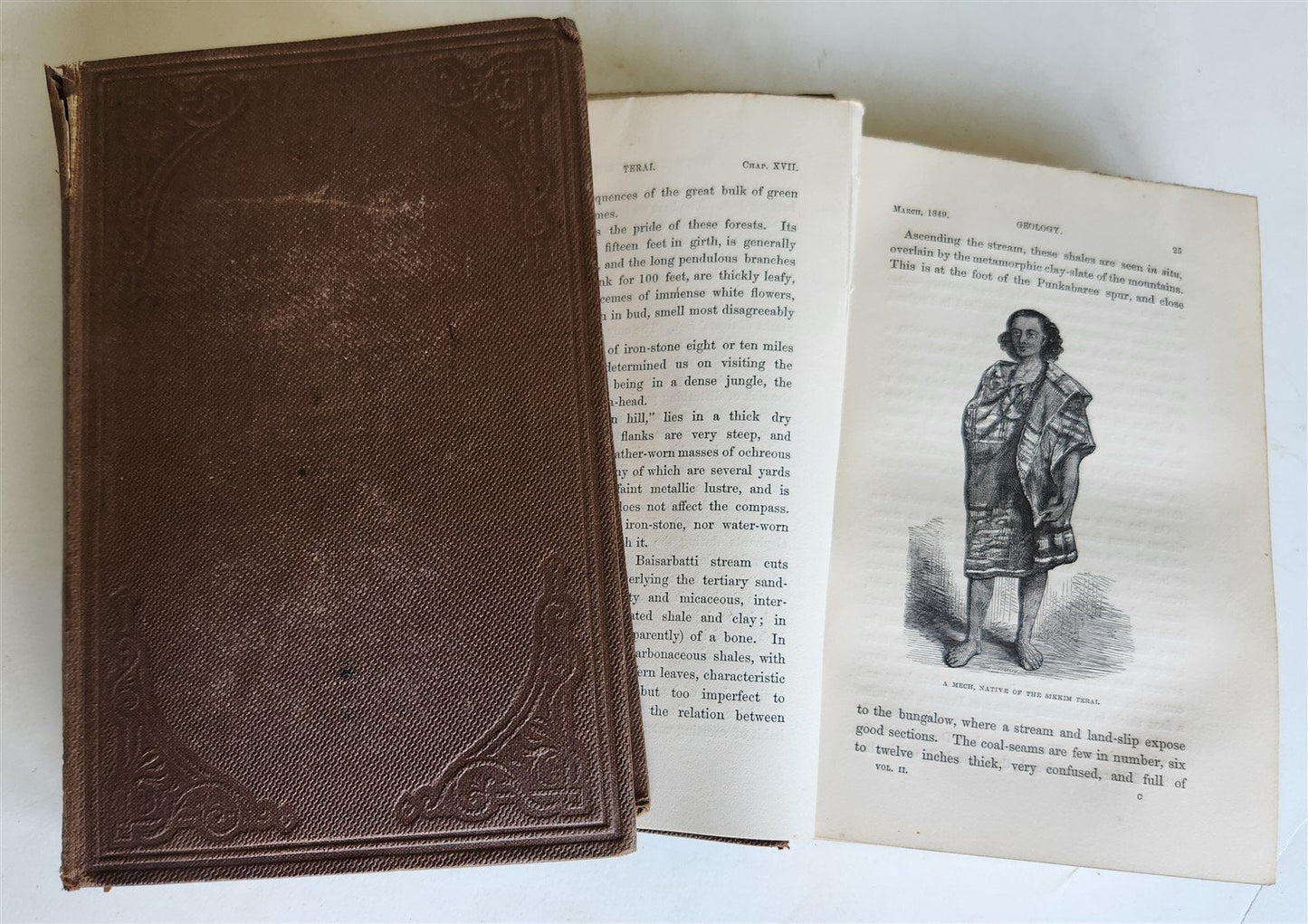 1855 HIMALAYAN JOURNALS by Joseph Hooker 2 VOLUMES antique ILLUSTRATED