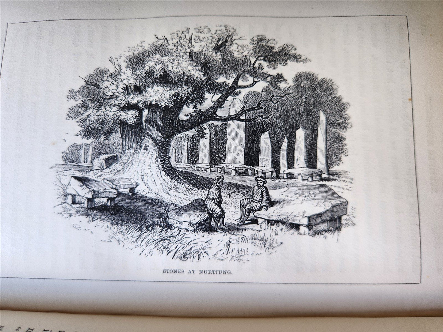 1855 HIMALAYAN JOURNALS by Joseph Hooker 2 VOLUMES antique ILLUSTRATED