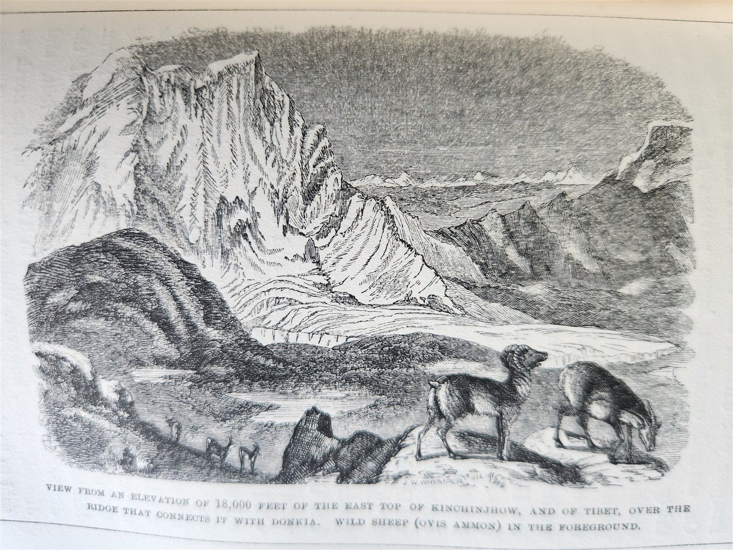 1855 HIMALAYAN JOURNALS by Joseph Hooker 2 VOLUMES antique ILLUSTRATED