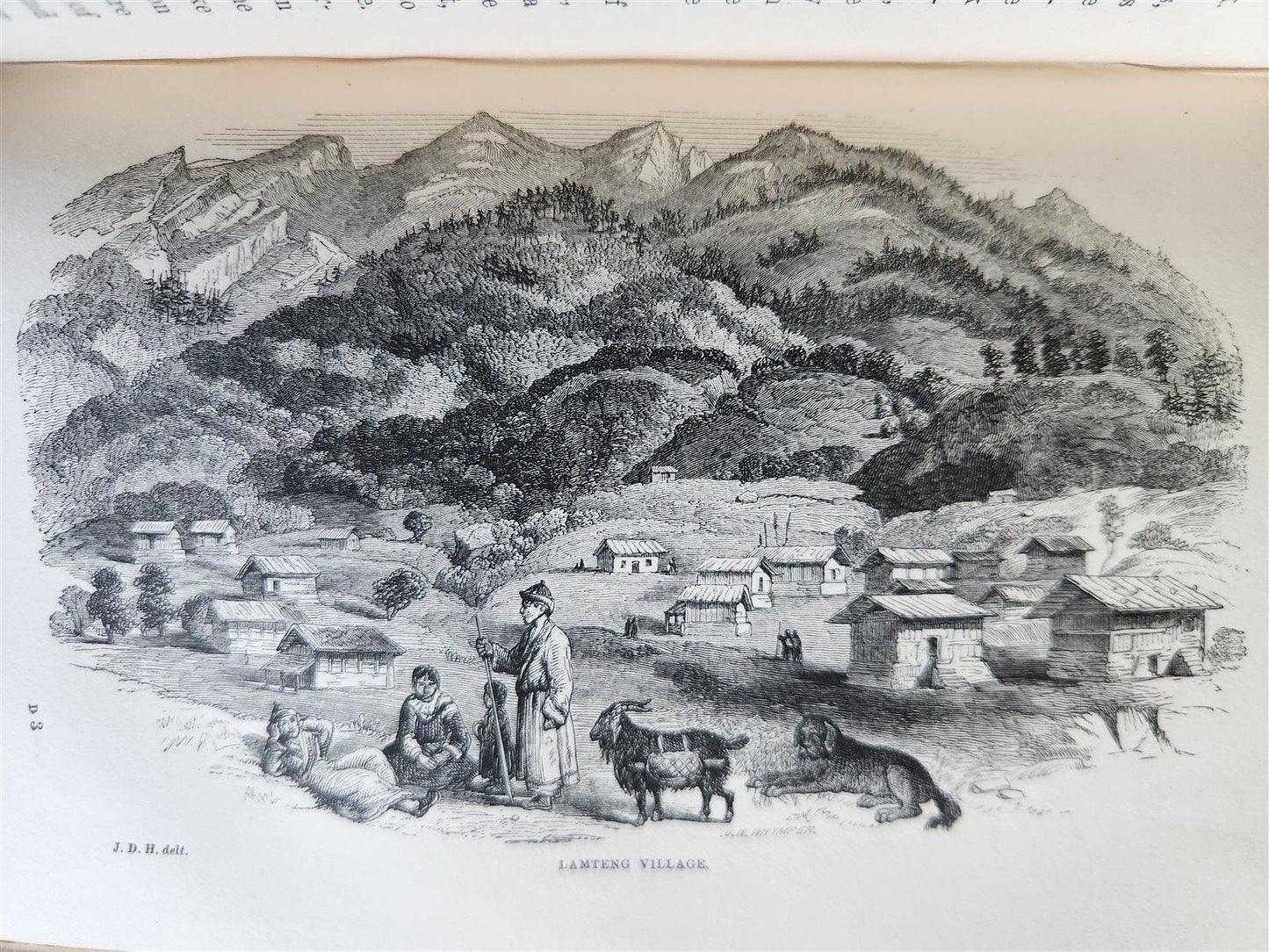 1855 HIMALAYAN JOURNALS by Joseph Hooker 2 VOLUMES antique ILLUSTRATED