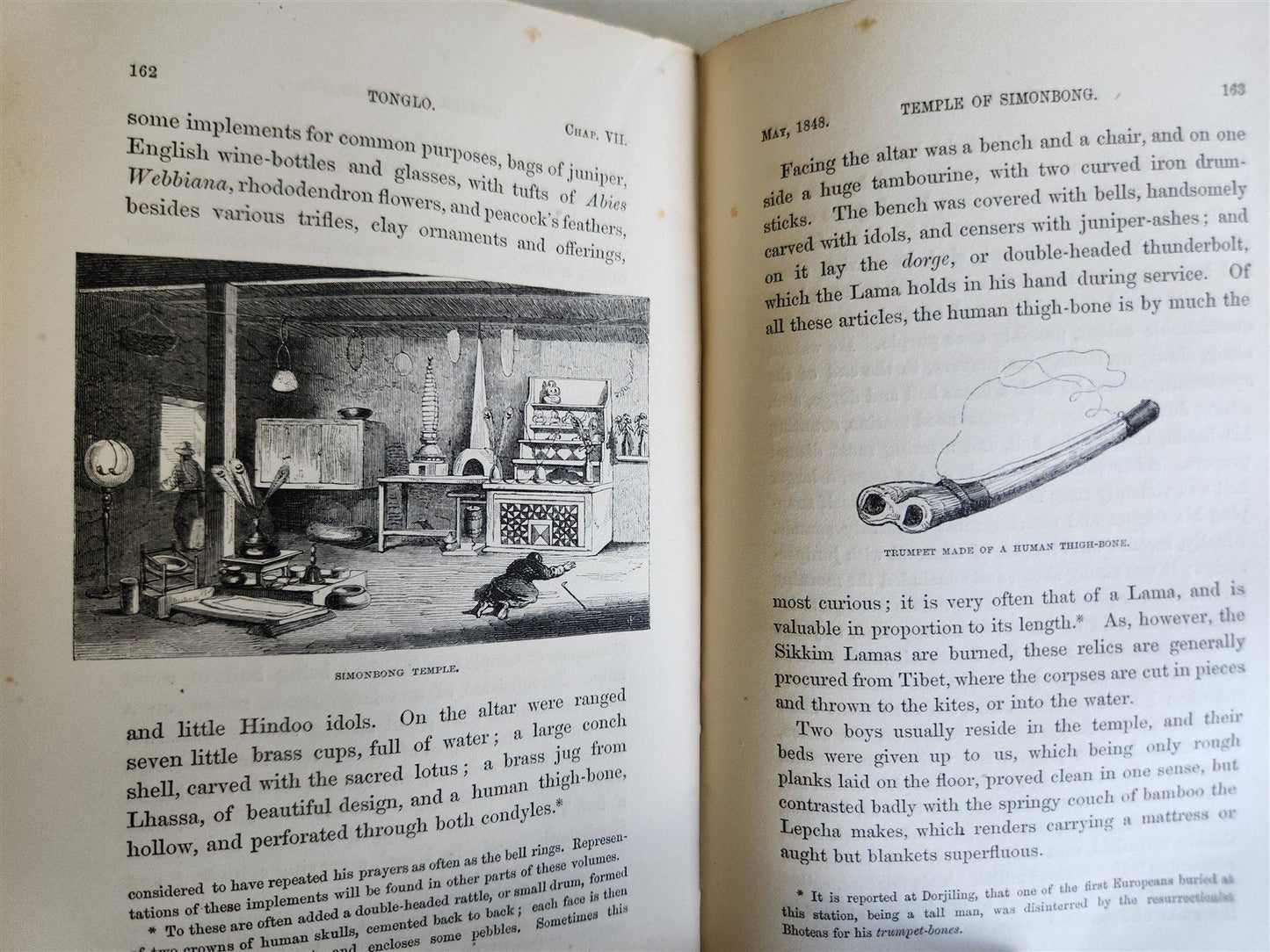 1855 HIMALAYAN JOURNALS by Joseph Hooker 2 VOLUMES antique ILLUSTRATED
