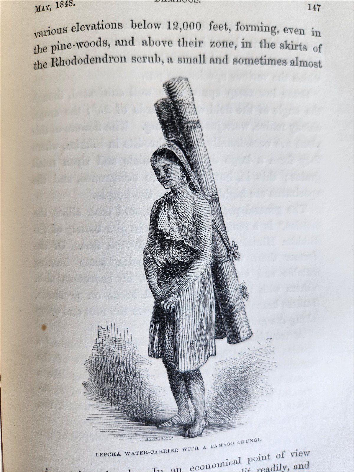1855 HIMALAYAN JOURNALS by Joseph Hooker 2 VOLUMES antique ILLUSTRATED