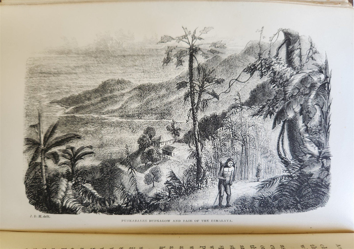 1855 HIMALAYAN JOURNALS by Joseph Hooker 2 VOLUMES antique ILLUSTRATED