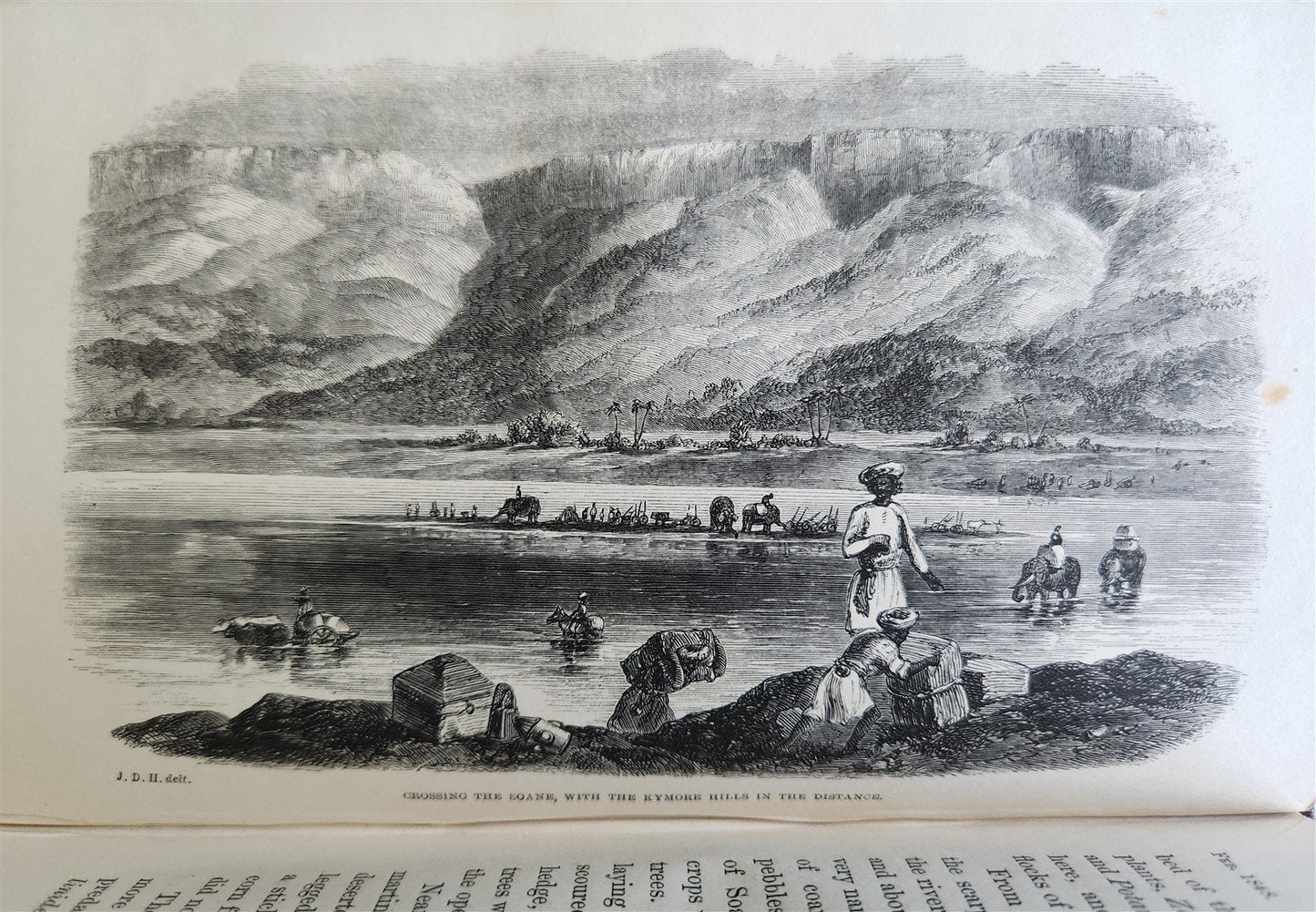 1855 HIMALAYAN JOURNALS by Joseph Hooker 2 VOLUMES antique ILLUSTRATED