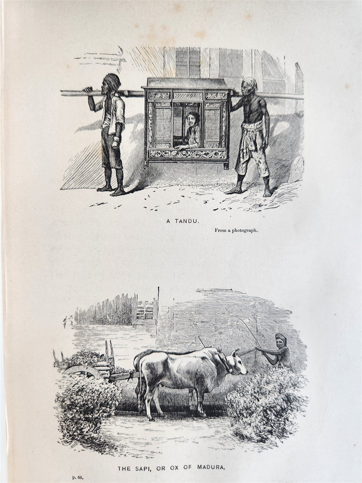 1869 TRAVELS TO EAST INDIAN ARCHIPELAGO antique ILLUSTRATED