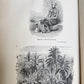 1869 TRAVELS TO EAST INDIAN ARCHIPELAGO antique ILLUSTRATED