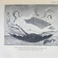 1950s PHALLIC WORSHIP ILLUSTRATED G.Scott vintage LIMITED EDITION NUMBERED COPY