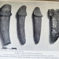 1950s PHALLIC WORSHIP ILLUSTRATED G.Scott vintage LIMITED EDITION NUMBERED COPY