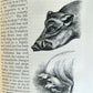 1876 CHARLES DARWIN VARIATION of ANIMALS & PLANTS antique 2 VOLUMES 2nd US ed.