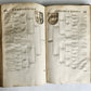 1655 GERMAN GENEALOGY illustrated PIGSKIN BOUND FOLIO antique 17th CENTURY LATIN