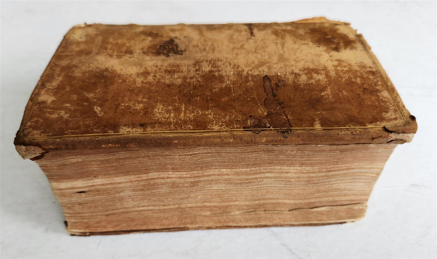 1561 HISTORY of FRANCE by Gregory of Tours antique 16th CENTURY