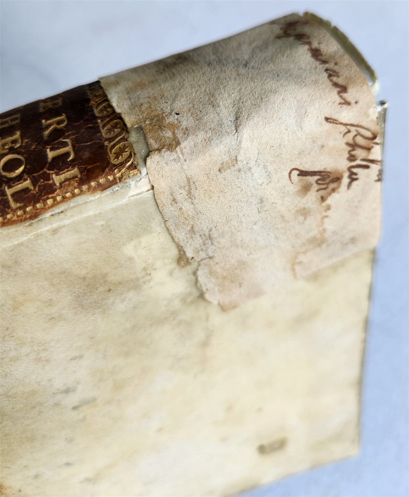 1792 THEOLOGY by JO. LAURENTII BERTI FLORENTINI antique VELLUM BINDING