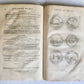 1691 HISTOIRE DU ROY LOUIS LE GRAND ILLUSTRATED antique ARMORIAL BINDING