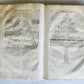 1577 ENCYCLOPEDIA of SCIENCE by ISIDORE von SEVILLA antique VELLUM BOUND FOLIO
