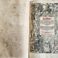 1595 FLAVIUS JOSEPHUS ILLUSTRATED by TOBIAS STIMMER antique FOLIO JUDAICA
