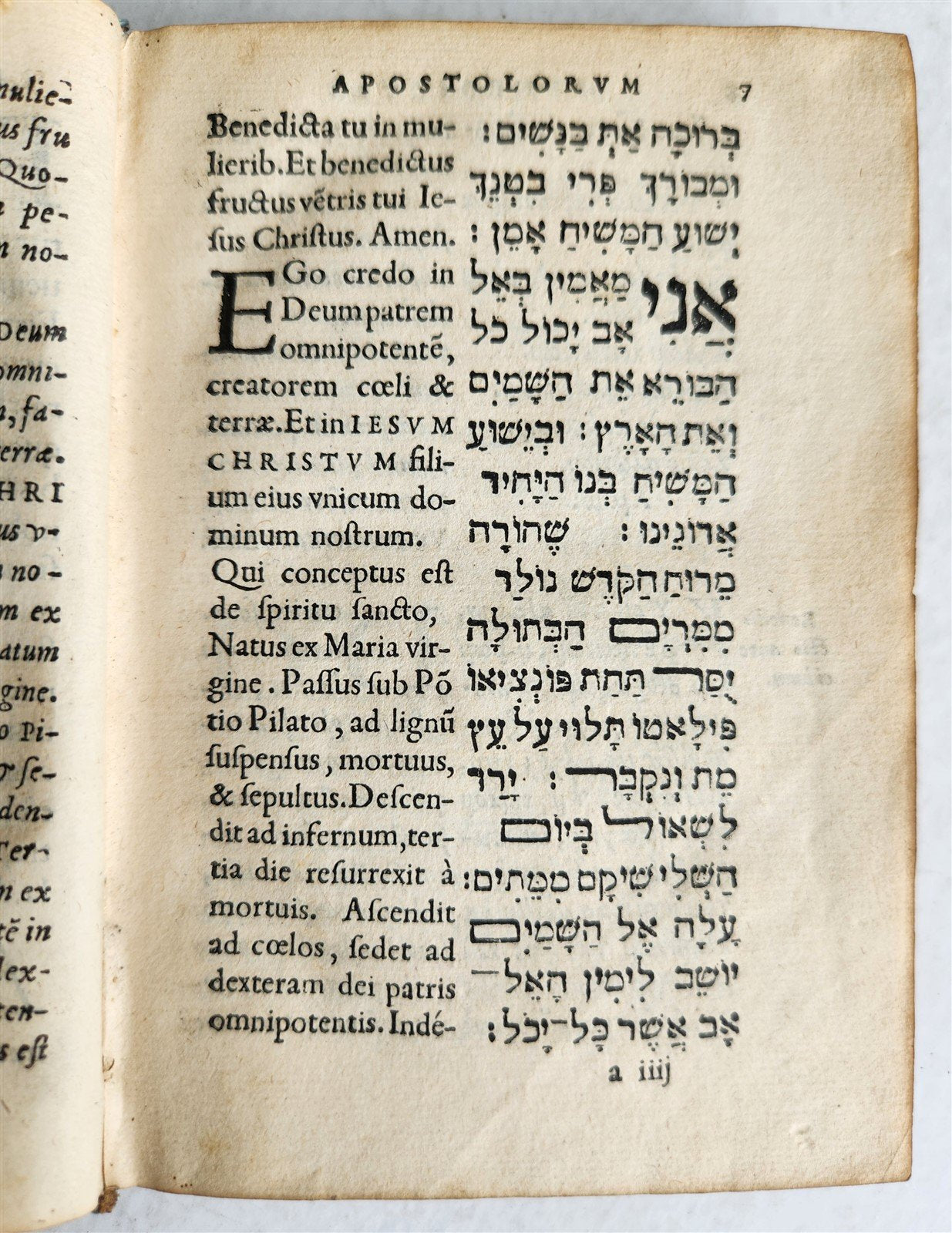 1554 BIBLE in Hebrew Latin & Greek antique SCARCE