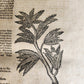 1665 OECONOMIA ILLUSTRATED antique hunting fishing livestock breeding PIGSKIN