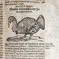 1665 OECONOMIA ILLUSTRATED antique hunting fishing livestock breeding PIGSKIN