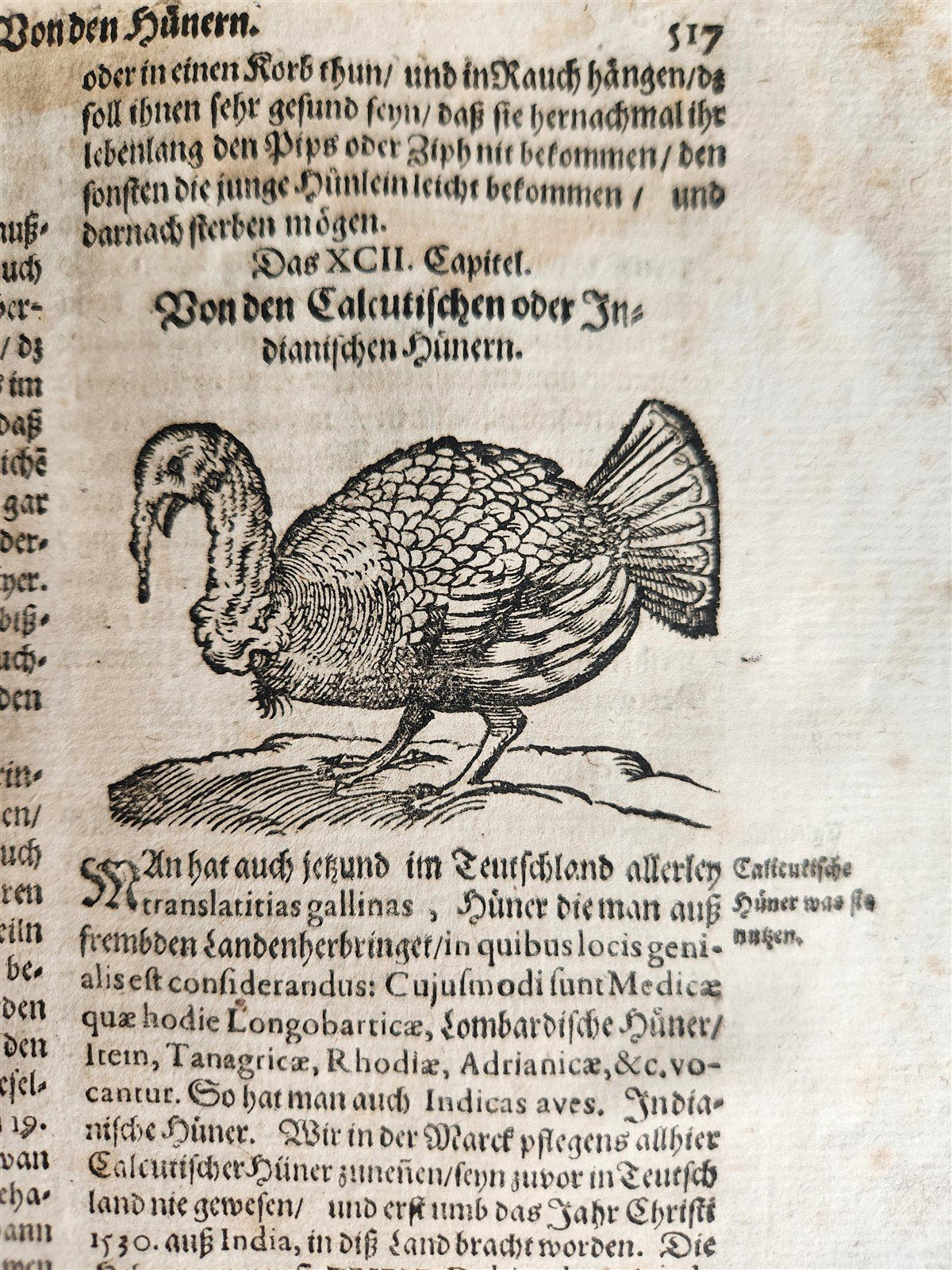 1665 OECONOMIA ILLUSTRATED antique hunting fishing livestock breeding PIGSKIN