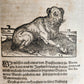 1665 OECONOMIA ILLUSTRATED antique hunting fishing livestock breeding PIGSKIN