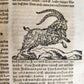 1665 OECONOMIA ILLUSTRATED antique hunting fishing livestock breeding PIGSKIN