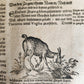 1665 OECONOMIA ILLUSTRATED antique hunting fishing livestock breeding PIGSKIN