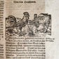 1665 OECONOMIA ILLUSTRATED antique hunting fishing livestock breeding PIGSKIN