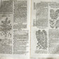 1696 HERBAL BOOK Theatrum botanicum antique ILLUSTRATED FOLIO 1200 woodcuts