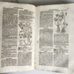 1696 HERBAL BOOK Theatrum botanicum antique ILLUSTRATED FOLIO 1200 woodcuts