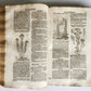 1696 HERBAL BOOK Theatrum botanicum antique ILLUSTRATED FOLIO 1200 woodcuts