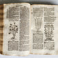 1696 HERBAL BOOK Theatrum botanicum antique ILLUSTRATED FOLIO 1200 woodcuts
