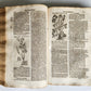 1696 HERBAL BOOK Theatrum botanicum antique ILLUSTRATED FOLIO 1200 woodcuts