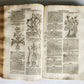 1696 HERBAL BOOK Theatrum botanicum antique ILLUSTRATED FOLIO 1200 woodcuts