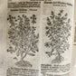1696 HERBAL BOOK Theatrum botanicum antique ILLUSTRATED FOLIO 1200 woodcuts