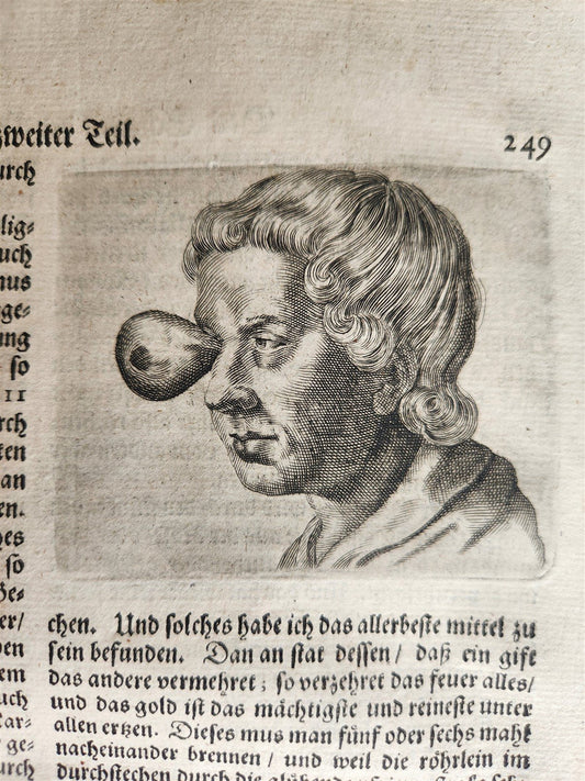 1674 MEDICAL TREATISE by Beverwyck ILLUSTRATED antique VELLUM BOUND FOLIO