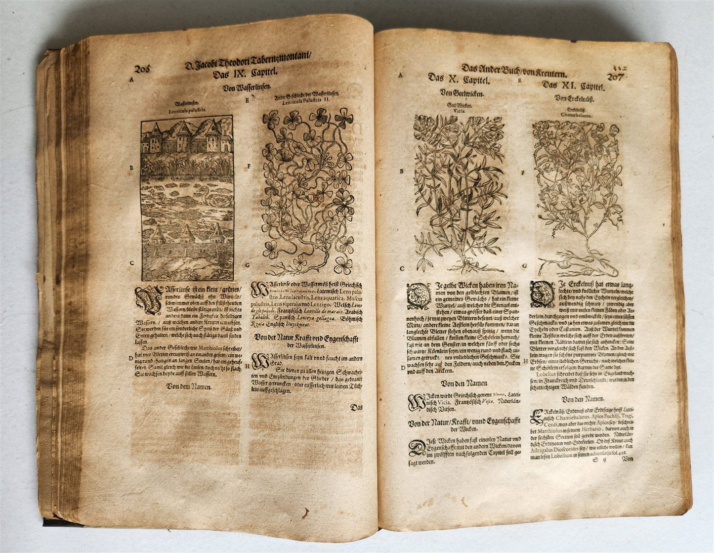 1588 HERBAL BOOK in GERMAN antique ILLUSTRATED Tabernaemontanus
