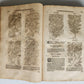 1588 HERBAL BOOK in GERMAN antique ILLUSTRATED Tabernaemontanus