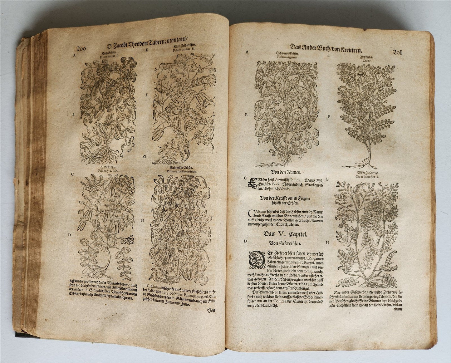 1588 HERBAL BOOK in GERMAN antique ILLUSTRATED Tabernaemontanus