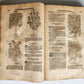 1588 HERBAL BOOK in GERMAN antique ILLUSTRATED Tabernaemontanus