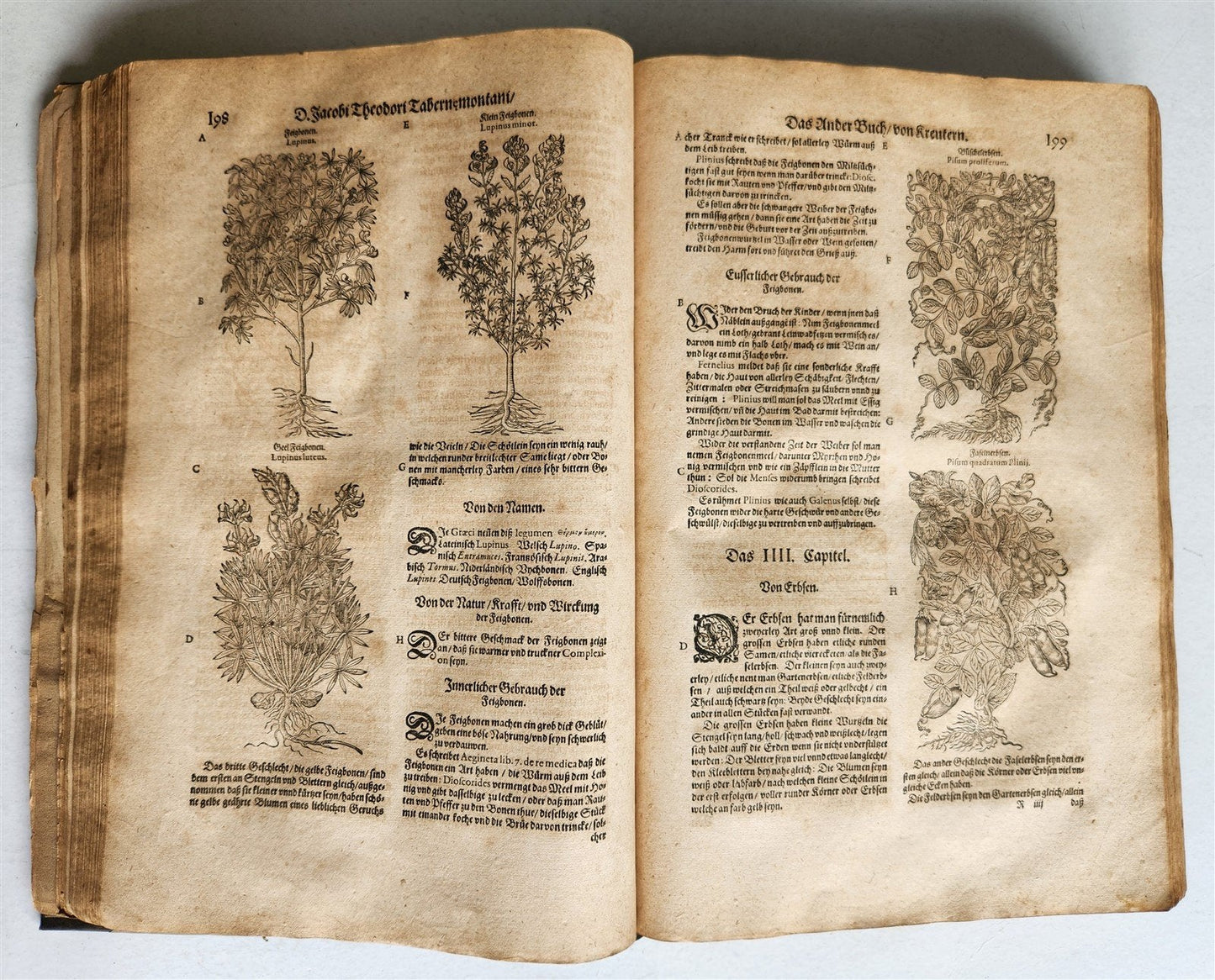 1588 HERBAL BOOK in GERMAN antique ILLUSTRATED Tabernaemontanus