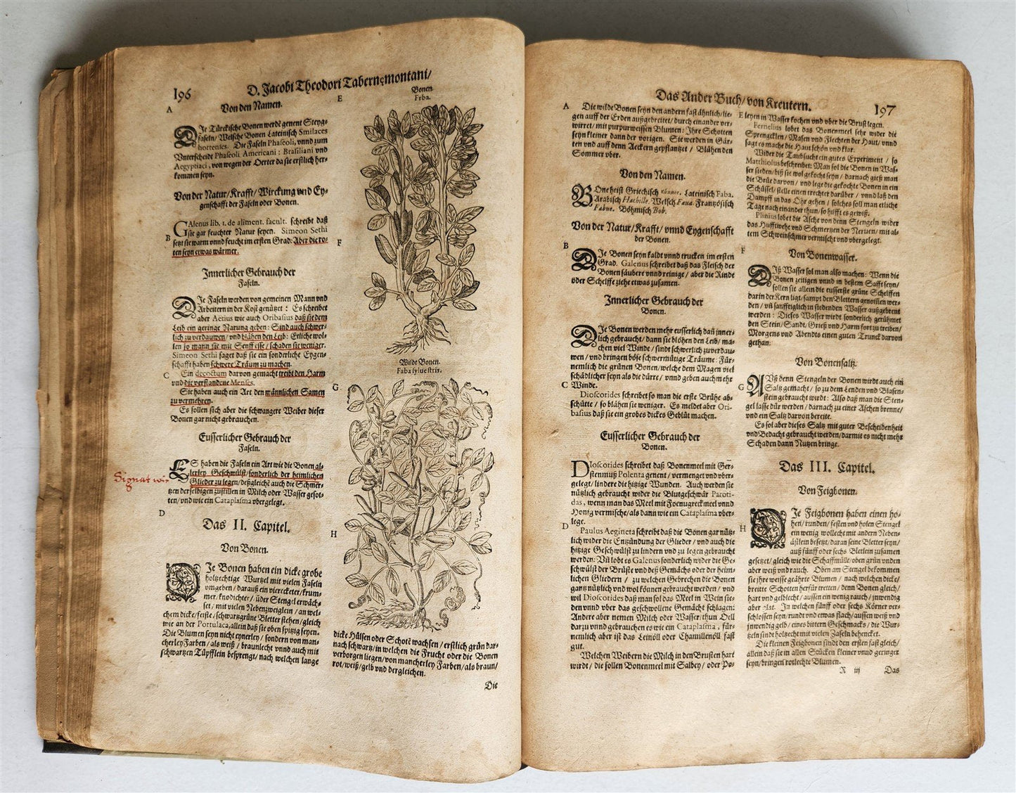 1588 HERBAL BOOK in GERMAN antique ILLUSTRATED Tabernaemontanus