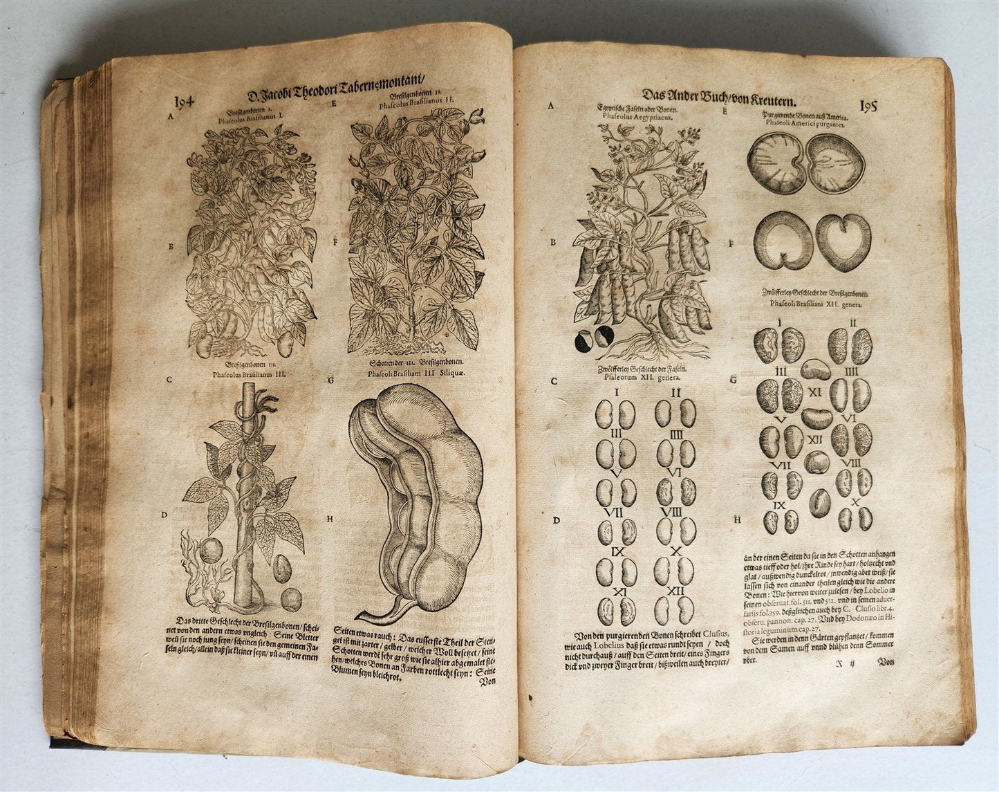 1588 HERBAL BOOK in GERMAN antique ILLUSTRATED Tabernaemontanus