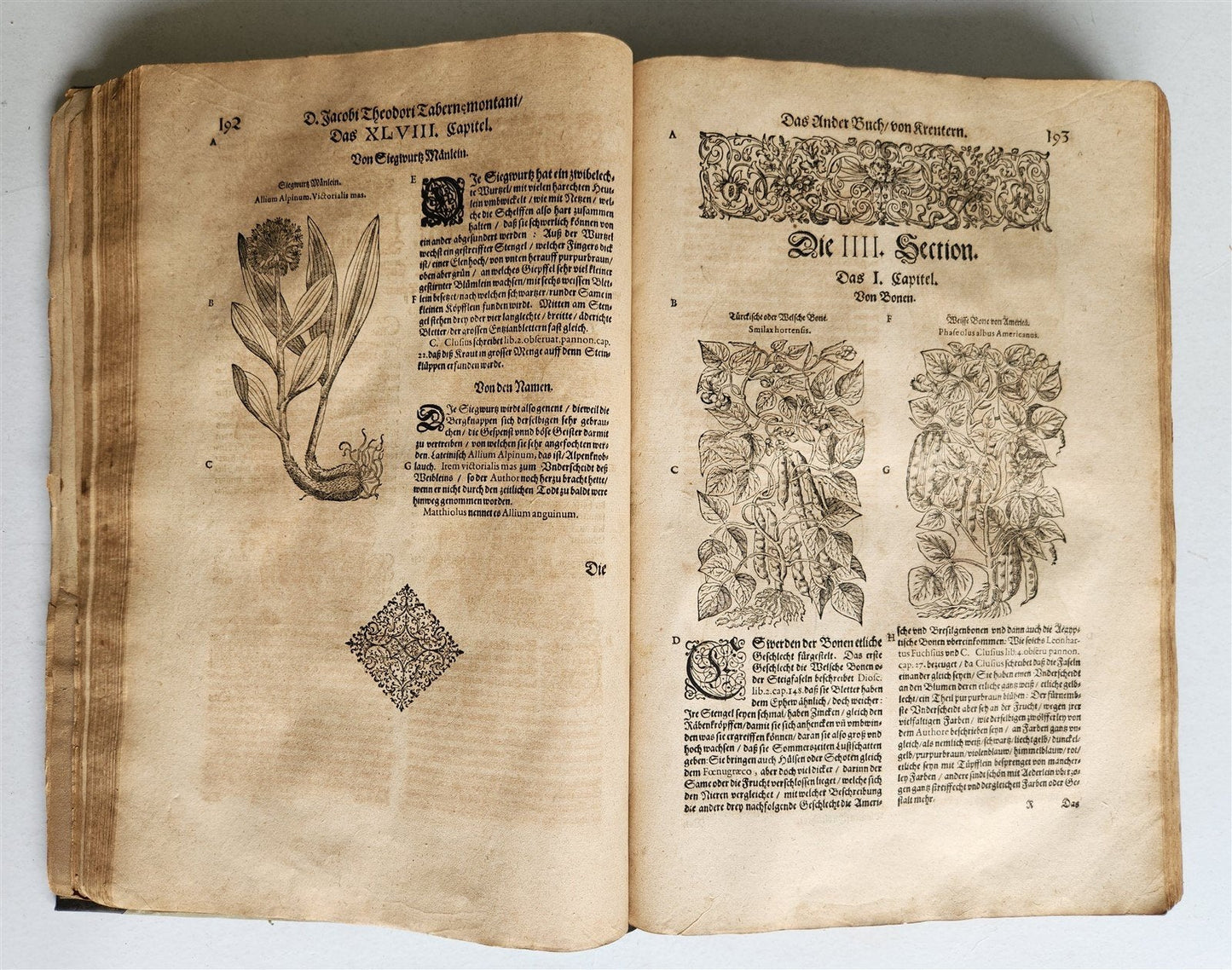1588 HERBAL BOOK in GERMAN antique ILLUSTRATED Tabernaemontanus
