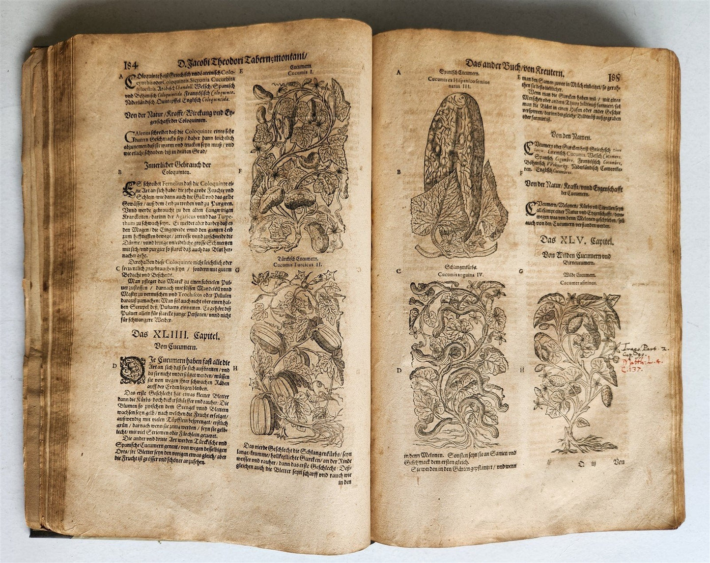 1588 HERBAL BOOK in GERMAN antique ILLUSTRATED Tabernaemontanus
