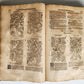 1588 HERBAL BOOK in GERMAN antique ILLUSTRATED Tabernaemontanus